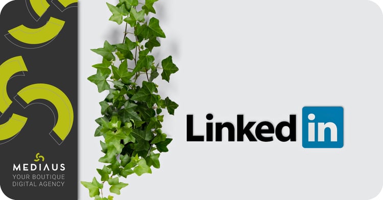 LinkedIn per il B2B