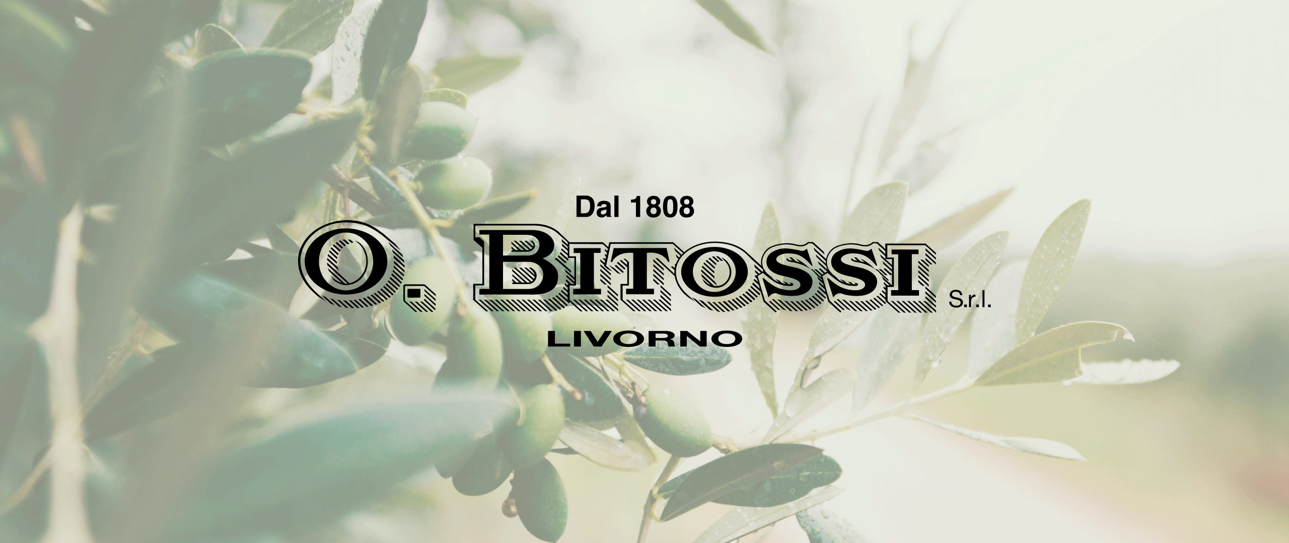 Gif logo O. Bitossi