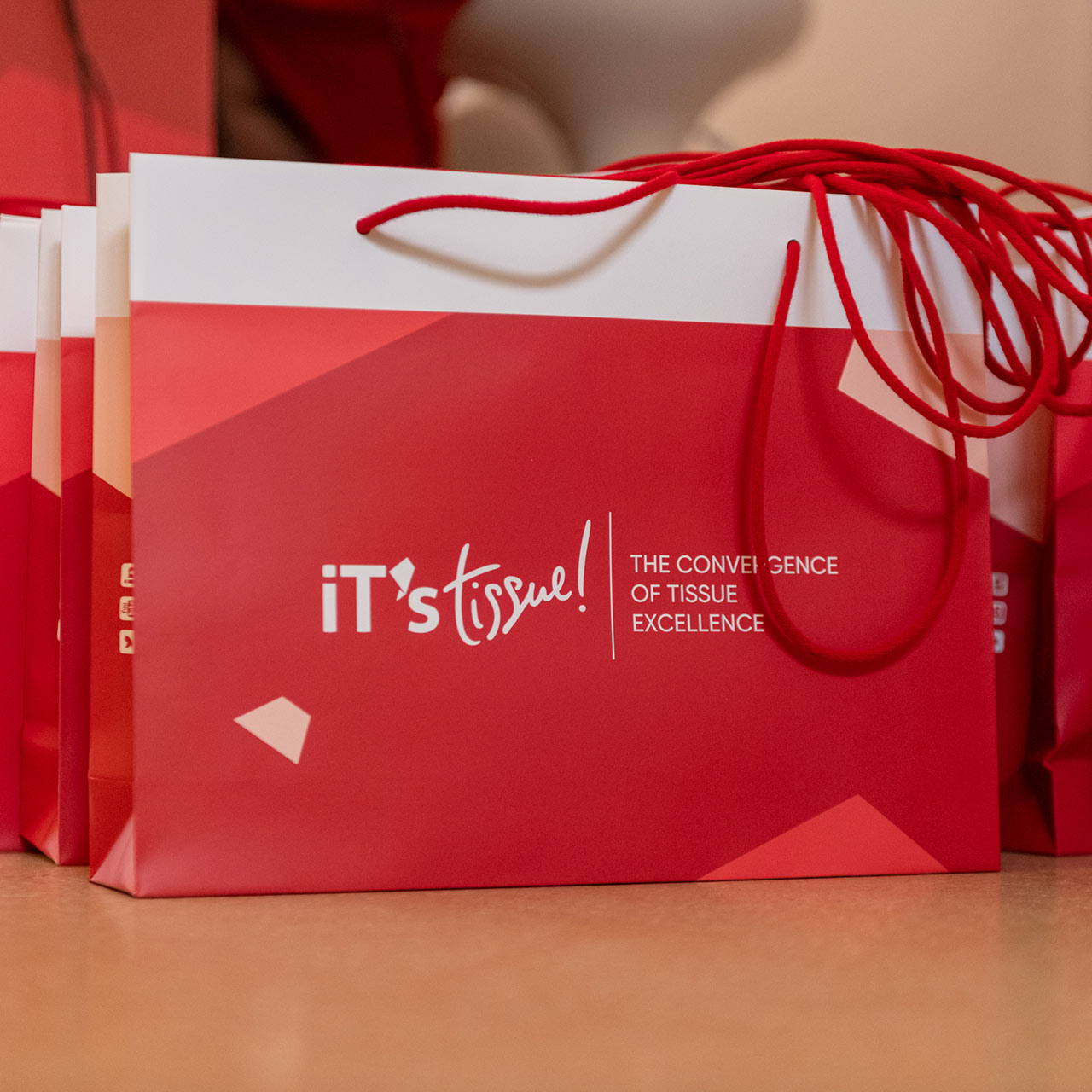 Borse di carta con il logo dell'evento di iT's Tissue.